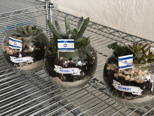 Easy DIY Terrarium Activity For Tu B'Shevat